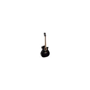 Richwood RA-12-CEBK | Casa Abreu - Loja de Instrumentos Musicais Richwood RA-12-CEBK | Casa Abreu - Loja de Instrumentos Musicais