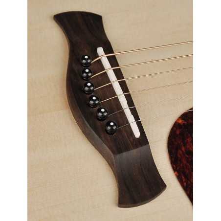 Richwood D-220 | Casa Abreu - Loja de Instrumentos Musicais