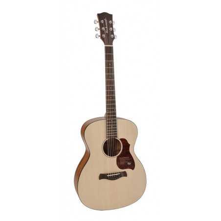 Richwood A-220 | Casa Abreu - Loja de Instrumentos Musicais