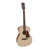 Richwood A-220 | Casa Abreu - Loja de Instrumentos Musicais