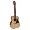 Richwood D-240 | Casa Abreu - Loja de Instrumentos Musicais