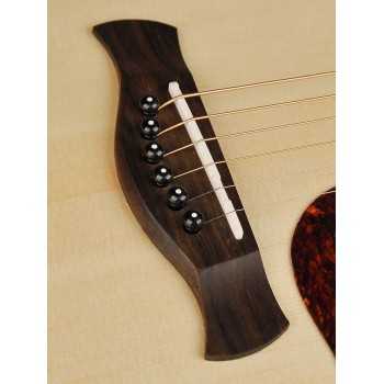 Richwood D-240 | Casa Abreu - Loja de Instrumentos Musicais