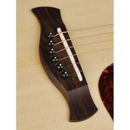 Richwood D-240 | Casa Abreu - Loja de Instrumentos Musicais