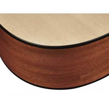 Richwood D-240 | Casa Abreu - Loja de Instrumentos Musicais