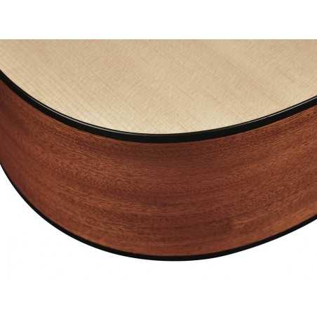 Richwood D-240 | Casa Abreu - Loja de Instrumentos Musicais