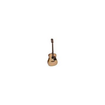 Richwood D-240 | Casa Abreu - Loja de Instrumentos Musicais