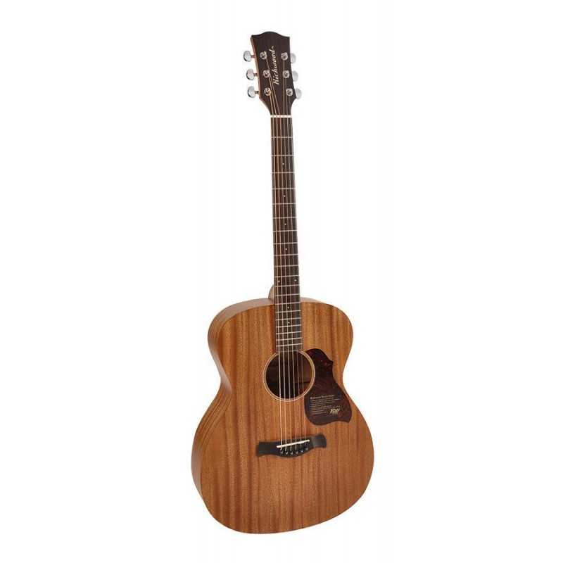 Richwood A-250 | Casa Abreu - Loja de Instrumentos Musicais