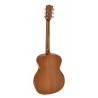 Richwood A-250 | Casa Abreu - Loja de Instrumentos Musicais