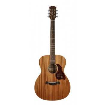 Richwood A-250 | Casa Abreu - Loja de Instrumentos Musicais