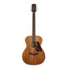 Richwood A-250 | Casa Abreu - Loja de Instrumentos Musicais