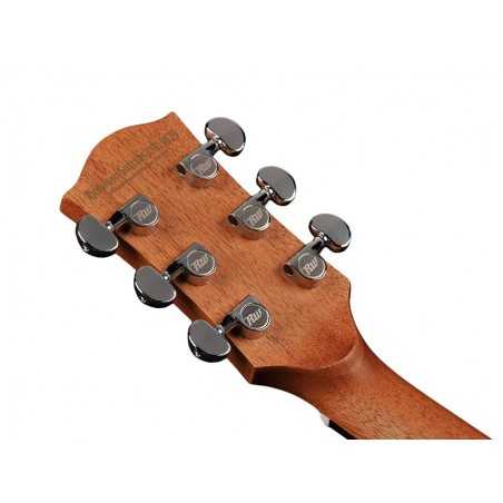 Richwood A-250 | Casa Abreu - Loja de Instrumentos Musicais