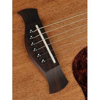 Richwood A-250 | Casa Abreu - Loja de Instrumentos Musicais