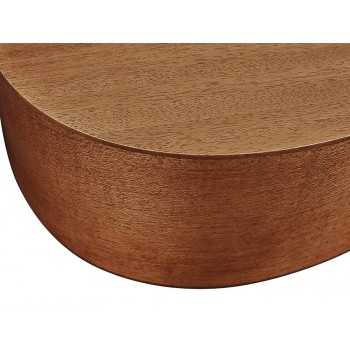 Richwood A-250 | Casa Abreu - Loja de Instrumentos Musicais