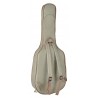 Richwood A-250 | Casa Abreu - Loja de Instrumentos Musicais