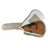 Richwood A-250 | Casa Abreu - Loja de Instrumentos Musicais
