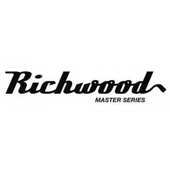 Richwood A-250 | Casa Abreu - Loja de Instrumentos Musicais