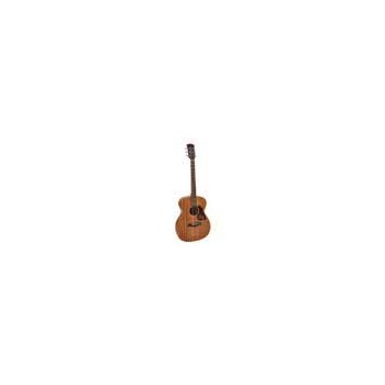 Richwood A-250 | Casa Abreu - Loja de Instrumentos Musicais