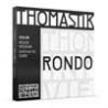 Thomastik Infeld THRO-100 | Casa Abreu - Loja de Instrumentos Musicais