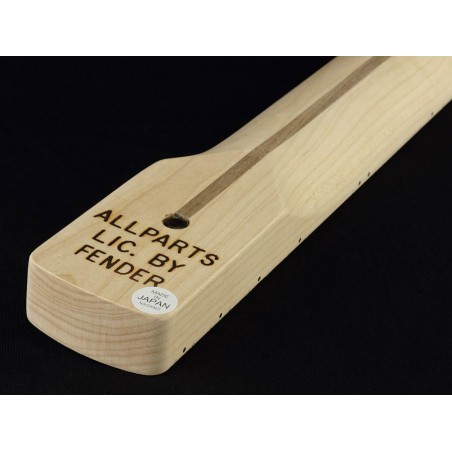 Allparts LMO | Casa Abreu - Loja de Instrumentos Musicais