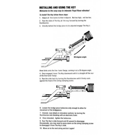 Allparts LT0868000 | Casa Abreu - Loja de Instrumentos Musicais