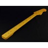 Allparts PMF | Casa Abreu - Loja de Instrumentos Musicais