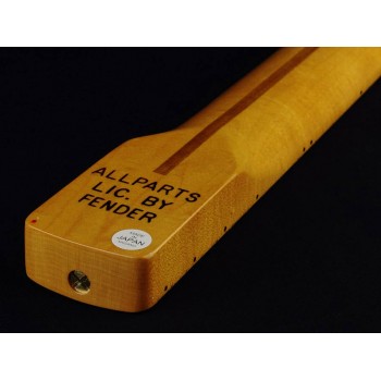 Allparts SMNFC | Casa Abreu - Loja de Instrumentos Musicais