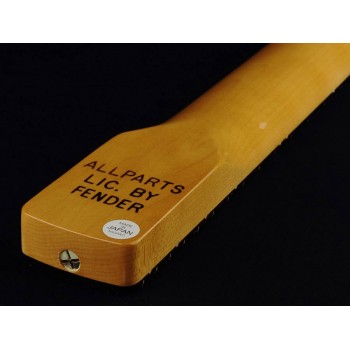 Allparts SRF21 | Casa Abreu - Loja de Instrumentos Musicais
