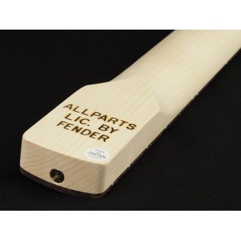 Allparts SRO62 | Casa Abreu - Loja de Instrumentos Musicais