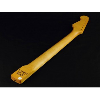Allparts SRTFC | Casa Abreu - Loja de Instrumentos Musicais