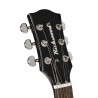 Richwood Master Series REG-410-MBK | Casa Abreu - Loja de Instrumentos Musicais