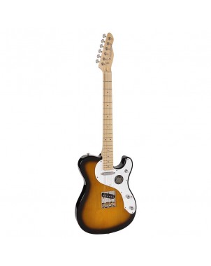 Richwood Master Series REG-360-2SB | Casa Abreu - Loja de Instrumentos Musicais