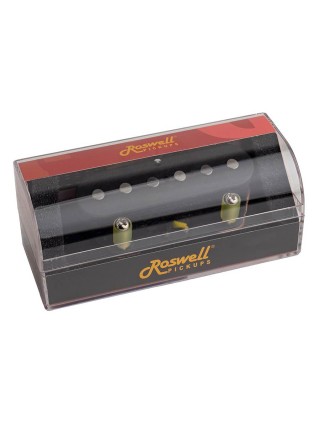 Roswell RP-TEKB | Casa Abreu - Loja de Instrumentos Musicais