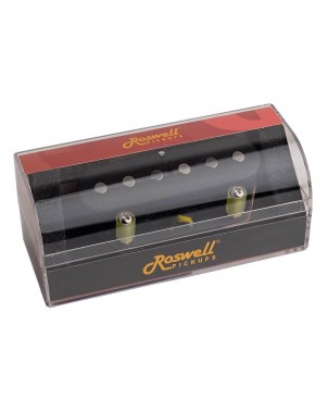 Roswell RP-TEKB | Casa Abreu - Loja de Instrumentos Musicais