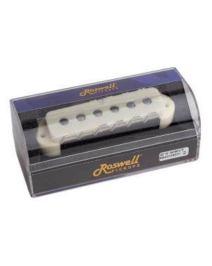 Roswell RP-JGNADWH | Casa Abreu - Loja de Instrumentos Musicais