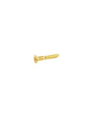 Allparts GS0063B02 | Casa Abreu - Loja de Instrumentos Musicais