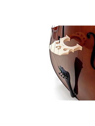VIOLONCELO STENTOR STUDENT II SH 4/4 | Casa Abreu - Loja de Instrumentos Musicais