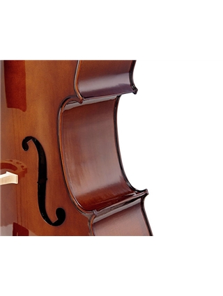 VIOLONCELO STENTOR STUDENT II SH 4/4 | Casa Abreu - Loja de Instrumentos Musicais