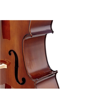 VIOLONCELO STENTOR STUDENT II SH 4/4 | Casa Abreu - Loja de Instrumentos Musicais