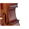 VIOLONCELO STENTOR STUDENT II SH 4/4 | Casa Abreu - Loja de Instrumentos Musicais