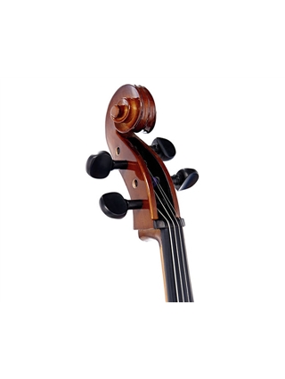 VIOLONCELO STENTOR STUDENT II SH 4/4 | Casa Abreu - Loja de Instrumentos Musicais