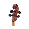 VIOLONCELO STENTOR STUDENT II SH 4/4 | Casa Abreu - Loja de Instrumentos Musicais