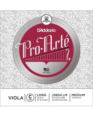 D'Addario J5804-LM | Casa Abreu - Loja de Instrumentos Musicais