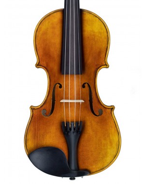 Rudolph RV-812 | Casa Abreu - Loja de Instrumentos Musicais