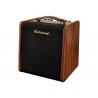 Richwood RPF-65 | Casa Abreu - Loja de Instrumentos Musicais