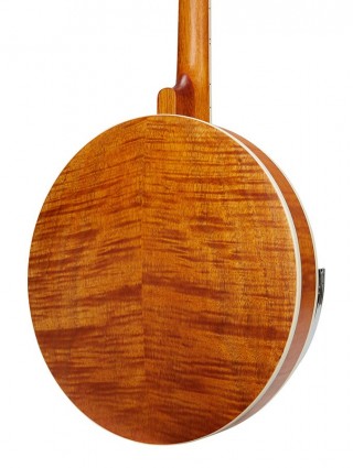 SX BJ404 | Casa Abreu - Loja de Instrumentos Musicais