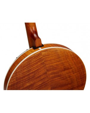 SX BJ404 | Casa Abreu - Loja de Instrumentos Musicais