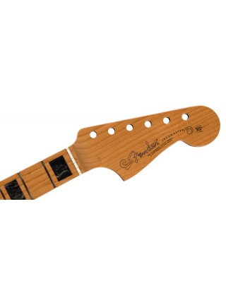 Fender 0992202920 | Casa Abreu - Loja de Instrumentos Musicais