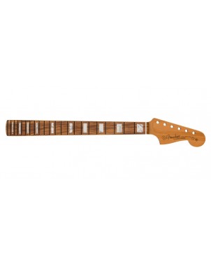 Fender 0992203920 | Casa Abreu - Loja de Instrumentos Musicais
