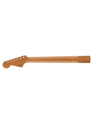 Fender 0992203920 | Casa Abreu - Loja de Instrumentos Musicais