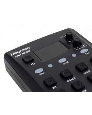 Hayman CDD-1000 | Casa Abreu - Loja de Instrumentos Musicais